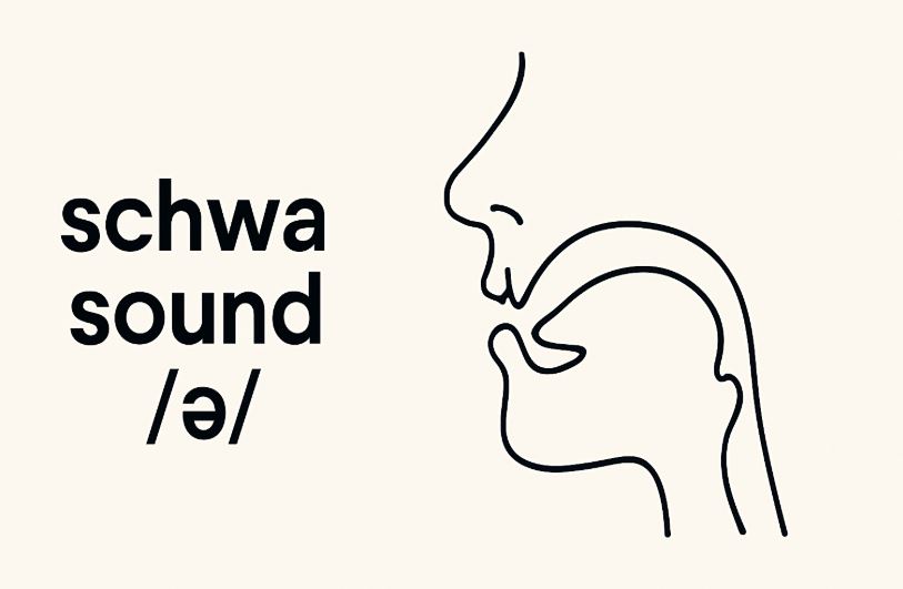 Minimalist educational graphic showing the text "schwa sound /ə/" on the left, with a simple black line diagram of a human head on the right, illustrating the relaxed tongue and mouth position used to pronounce the schwa sound, set against an off-white background.